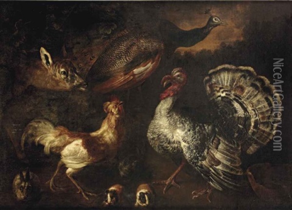 A Wooded Landscape With A Dear, A Peacock, A Turkey And A Cockerel With Rabbits And Guinea-pigs Oil Painting - Jacob van der Kerckhoven