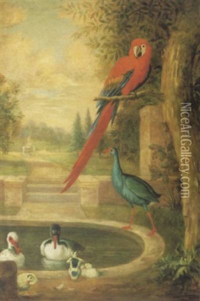 An Assembly Of Birds In A Landscape Including A Scarlet Macaw, Ducks And A Green-backed Gallinule Oil Painting - Jakob Bogdani