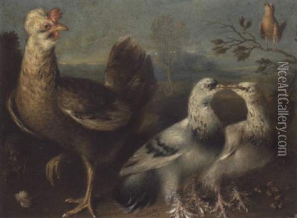 Opstilling Med Naebbende Duer, Hane Og Mus Oil Painting - Melchior de Hondecoeter