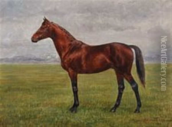 A Horse In A Field Oil Painting - Adolf Heinrich Claus Hansen