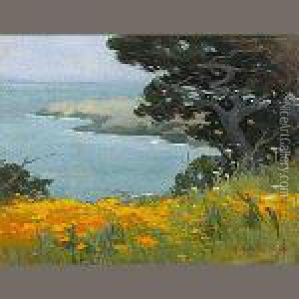 Point Lobos Oil Painting - Mary Deneale Morgan