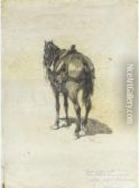 Cavallo Sellato Oil Painting - Michele Cammarano