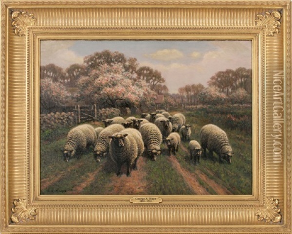 Sheep On A Country Road Lined With Cherry Blossoms Oil Painting - George Arthur Hays