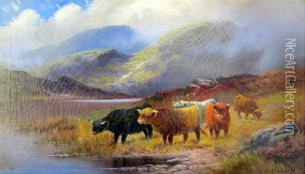 Highland Cattle Oil Painting - Henry Calvert