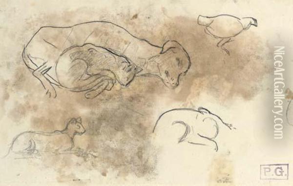 Etudes D'animaux Oil Painting - Paul Gauguin