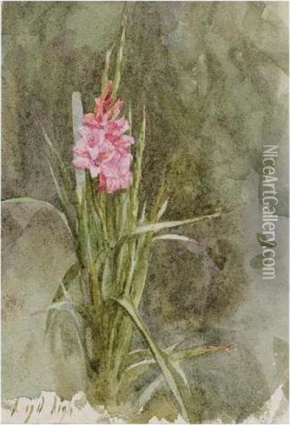 Sunflower; Pink Gladiolae Oil Painting - Helen Mary Elizabeth Allingham