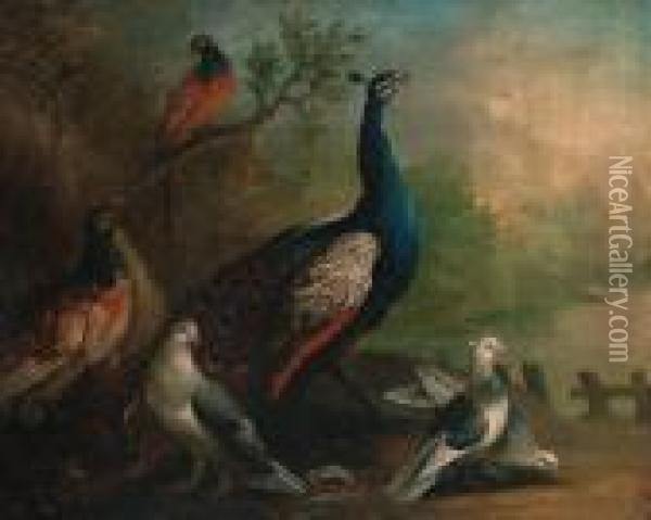 A Peacock, Doves And Pheasants By A Lake Oil Painting - Marmaduke Cradock