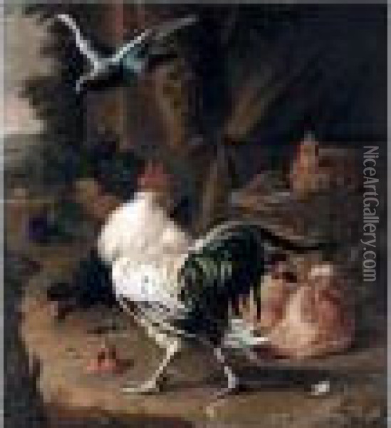 A Farmyard Scene With A Cockerel, Hens, A Pigeon And A Turkey Oil Painting - Melchior de Hondecoeter