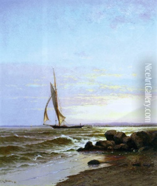 Sunset At Cape Ann Oil Painting - Francis Augustus Silva