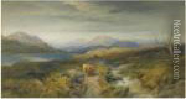 Looking Up Glen Strae, Loch Awe Oil Painting - Thomas Miles Richardson
