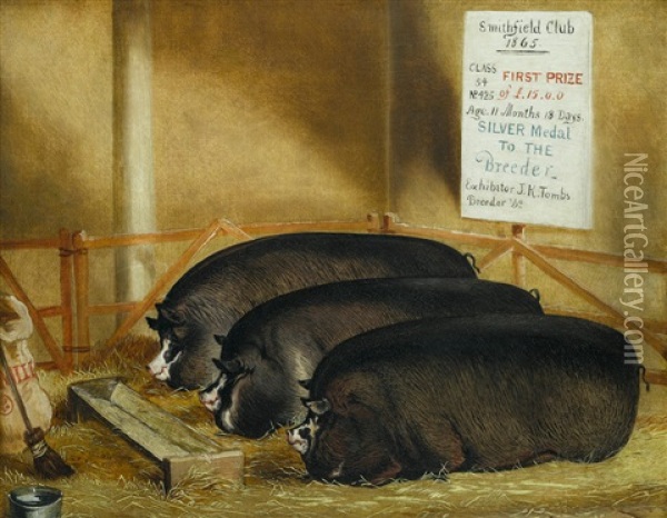 Three Prize Pigs Oil Painting - John Vine