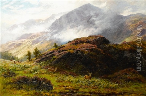 Deer In The Scottish Highlands Oil Painting - Charles Stuart