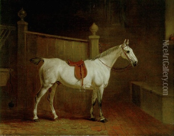 A Saddled Grey Hunter In A Stable Oil Painting - John E. Ferneley