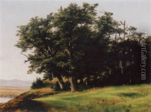 Baumbestandene Anhohe Mit Blick Auf Einen See Oil Painting - Alexandre Calame