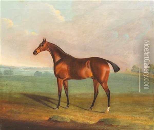 The Brown Horse Oil Painting - Robert Brereton