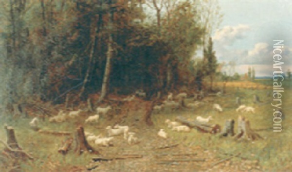 Flock Of Sheep By Forest Edge Oil Painting - Thomas Mower Martin