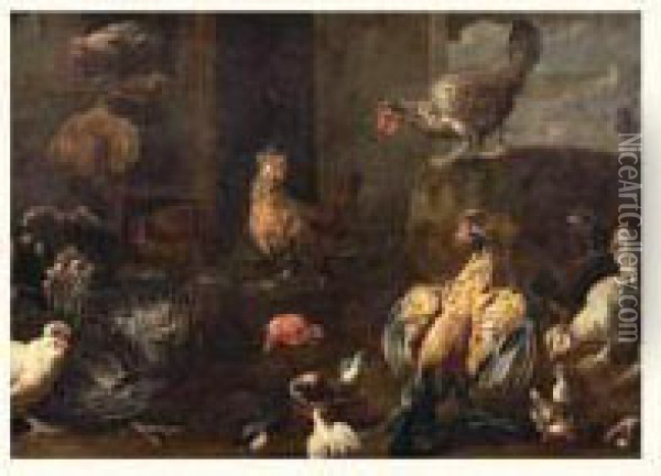Poules Et Coq Dans Une Basse-cour Oil Painting - Adriaen van Utrecht