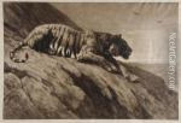 A Crouching Tiger Oil Painting - Herbert Thomas Dicksee