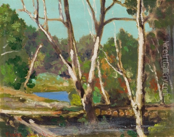 Little Lake In My Woods Oil Painting - Francis Hans Johnston