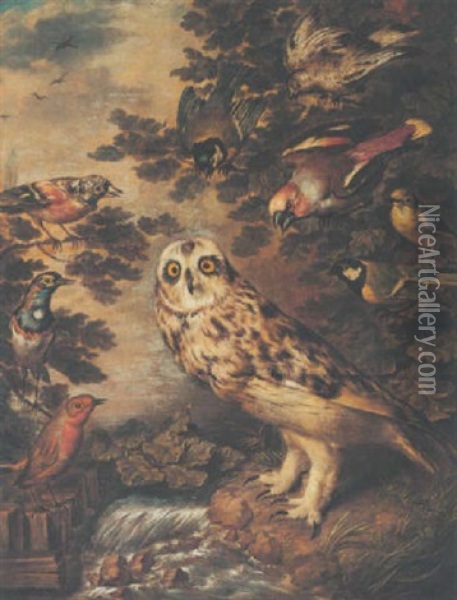An Owl Mocked By Other Birds Oil Painting - Philipp Ferdinand de Hamilton