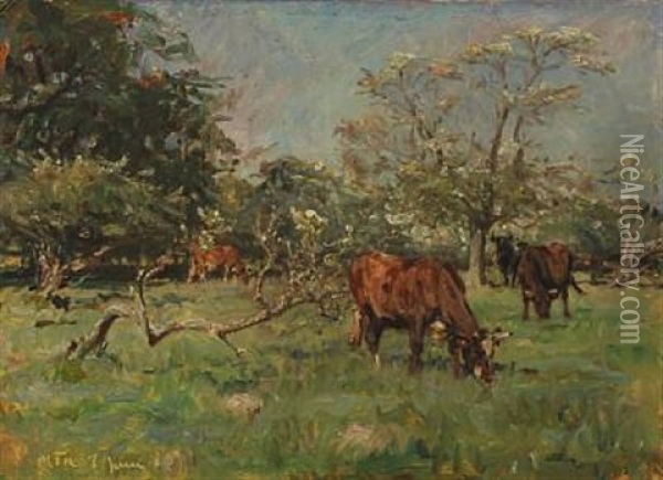 Cows Grazing Among Flowering Trees Oil Painting - Hans Michael Therkildsen