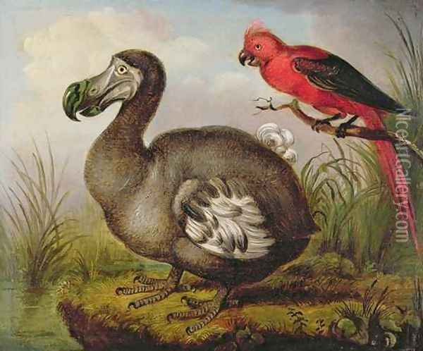 Dodo and Red Parakeet Oil Painting - William Hodges