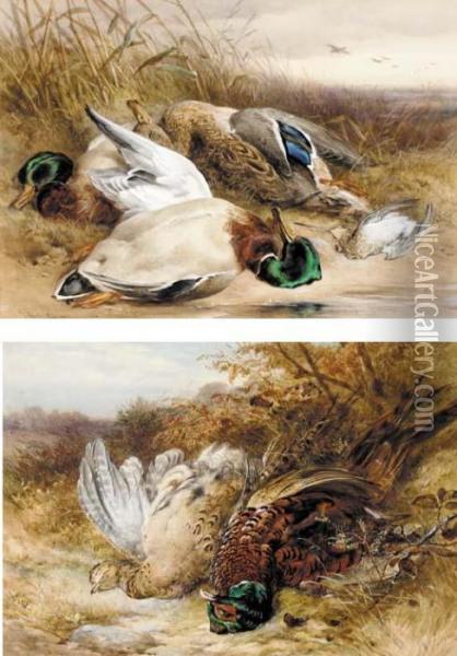 A Brace Of Pheasant On A Bank; And Mallards And A Woodcock Oil Painting - James Jnr Hardy