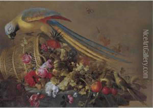 Still Life With An Overturned Basket On A Partly Draped Table, With Grapes, Plums, Oranges, Various Flowers, A Parrot And A Parakeet Oil Painting - Jacob Fransz. Van Der Merck