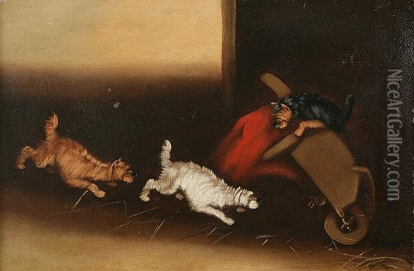 Terriers Ratting Under A Wheelbarrow Oil Painting - Edwin Armfield