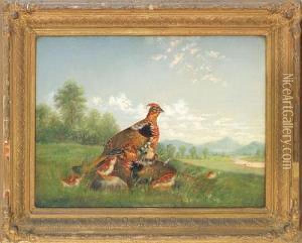 Landscape With A Family Of Grouse Oil Painting - Frederik A. Spang