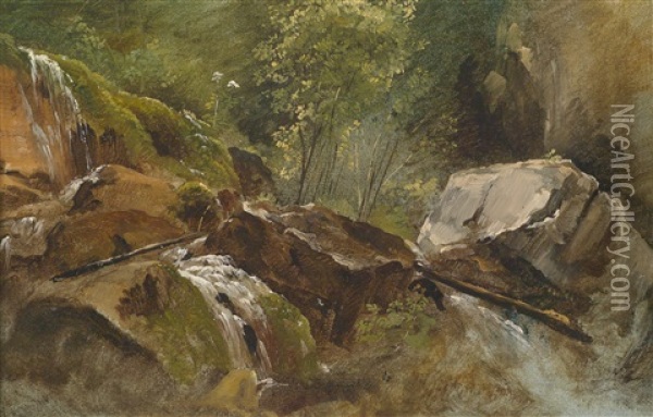 Wasserfall Oil Painting - Friedrich Gauermann