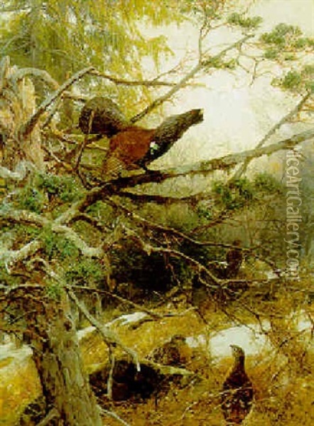 A Blackcock And A Grey Hen In A Woodland Clearing Oil Painting - Christian (Johann Christian) Kroener