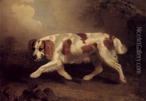 A Spaniel In A Landscape Oil Painting - Benjamin Marshall
