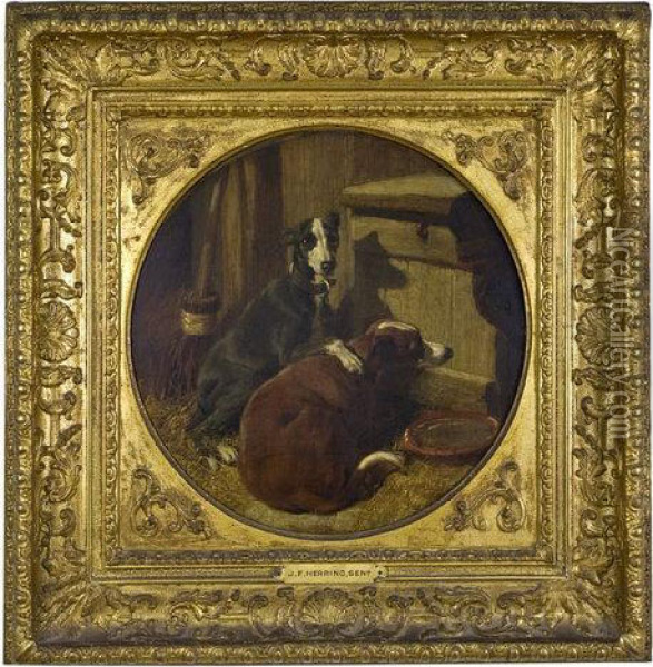A Pair Of Whippets In A Stable Oil Painting - John Frederick Herring Snr