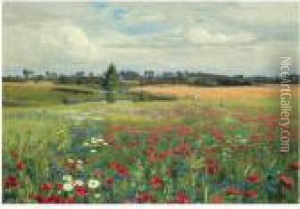 Mark Med Valmuer Og Margueritter (field With Poppies Anddaisies) Oil Painting - Hans Anderson Brendekilde
