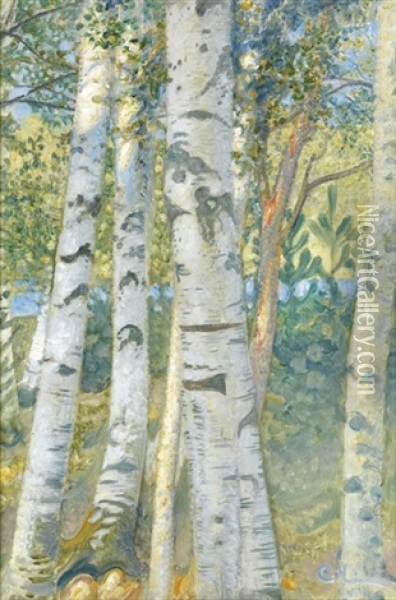 Bjorkstammer - Birch Trees Oil Painting - Carl Olof Larsson