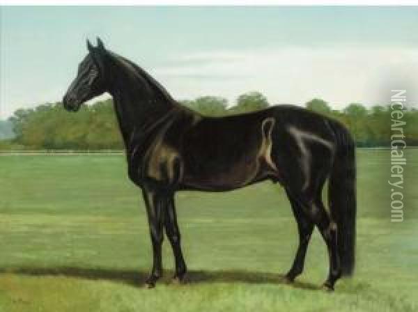 A Stallion In A Paddock Oil Painting - Alexander Pope