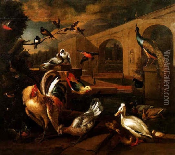 A Cockerel, Hen, Tufted Duck And Other Birds In A Formal Garden Oil Painting - Melchior de Hondecoeter