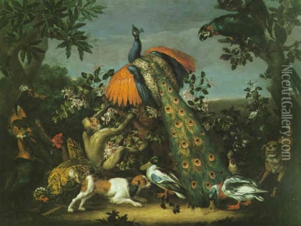 Volatiles, Singes Et Chiens Dans Un Paysage Oil Painting - Philipp Ferdinand de Hamilton