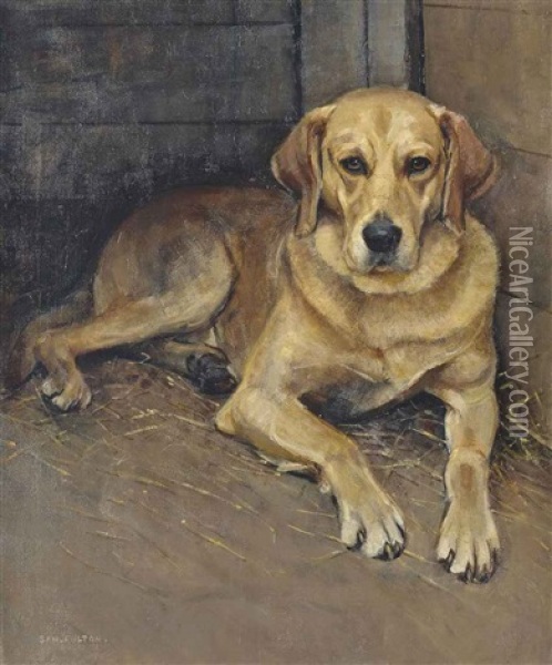 'luath', The Labrador Oil Painting - Samuel Fulton
