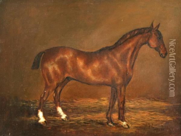 Lucas Study Of A Bay Hunter In A Stable Oil Painting - Henry Frederick Lucas-Lucas