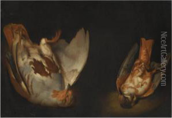 A Still Life With Two Dead Birds Oil Painting - Alexander Adriaenssen