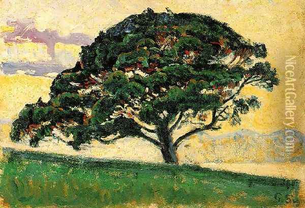 The Large Pine, Saint-Tropez Oil Painting - Paul Signac