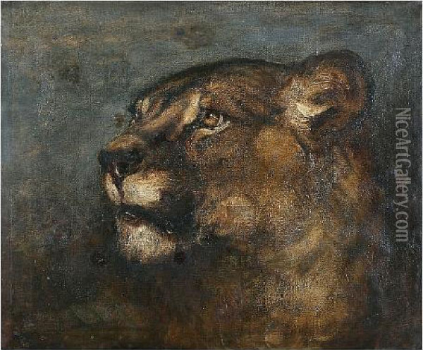 Head Of A Lioness Oil Painting - Heywood Hardy
