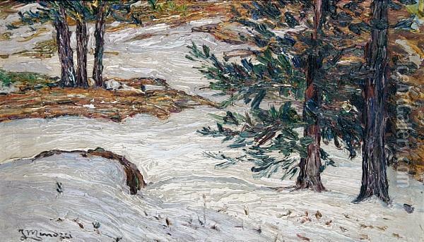 A Winter Woodland Scene Oil Painting - Filiberto Minozzi