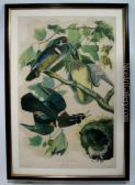 Summer Or Wood Duck Oil Painting - John James Audubon