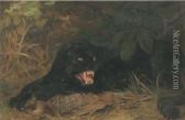 A Panther Guarding His Kill Oil Painting - Cuthbert Edmund Swan