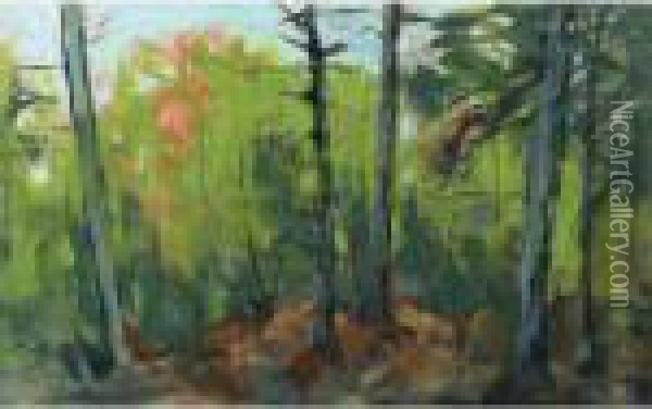 Woodland Scene, Monhegan, Maine Oil Painting - Robert Henri