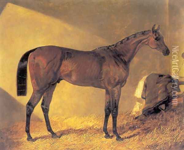 Merry Monarch in a Stall Oil Painting - John Frederick Herring Snr