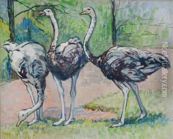 Ostriches Oil Painting - Joseph Ii Crawhall